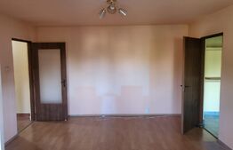 Apartament 2 camere, 53 mp, nemobilat, zona Big Craiovita Noua