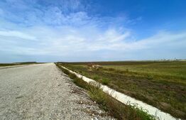 REDUCERE PREȚ!!! Teren extravilan, 16.437 mp, Pielești