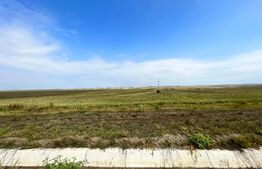 REDUCERE PREȚ!!! Teren extravilan, 16.437 mp, Pielești