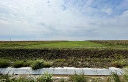 REDUCERE PREȚ!!! Teren extravilan, 16.437 mp, Pielești