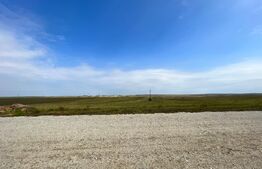 REDUCERE PREȚ!!! Teren extravilan, 16.437 mp, Pielești