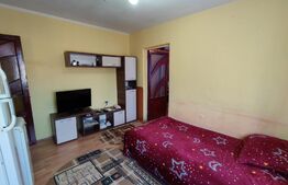 Apartament 2 camere, mobilat si utilat, zona Piata Valea Rosie