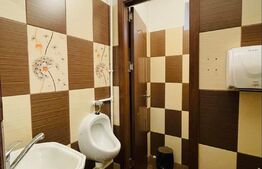 Spatiu comercial ultracentral, 100 mp utili pe plan parter si 100 mp terasa, in Centrul Vechi