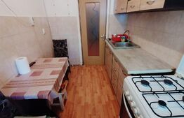 Apartament de 2 camere, 52mp, pet friendly, zona Brazda lui Novac