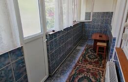 Apartament de 2 camere, 52mp, pet friendly, zona Brazda lui Novac