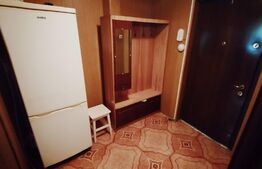 Apartament de 2 camere, 52mp, pet friendly, zona Brazda lui Novac