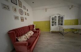 Casă cu istorie 708 mp utili, 275 mp teren, zonă Ultracentrală