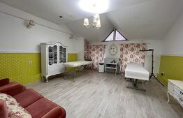 Casă cu istorie 708 mp utili, 275 mp teren, zonă Ultracentrală