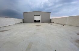 Hala industriala 500 mp, 100 mp anexe, teren 1500 mp, zona Carcea