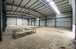 Hala industriala 500 mp, 100 mp anexe, teren 1500 mp, zona Carcea