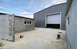 Hala industriala 500 mp, 100 mp anexe, teren 1500 mp, zona Carcea