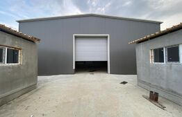 Hala industriala 500 mp, 100 mp anexe, teren 1500 mp, zona Carcea