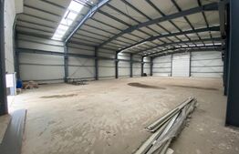 Hala industriala 500 mp, 100 mp anexe, teren 1500 mp, zona Carcea