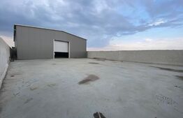 Hala industriala 500 mp, 100 mp anexe, teren 1500 mp, zona Carcea