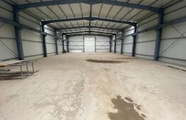 Hala industriala 500 mp, 100 mp anexe, teren 1500 mp, zona Carcea