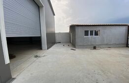 Hala industriala 500 mp, 100 mp anexe, teren 1500 mp, zona Carcea