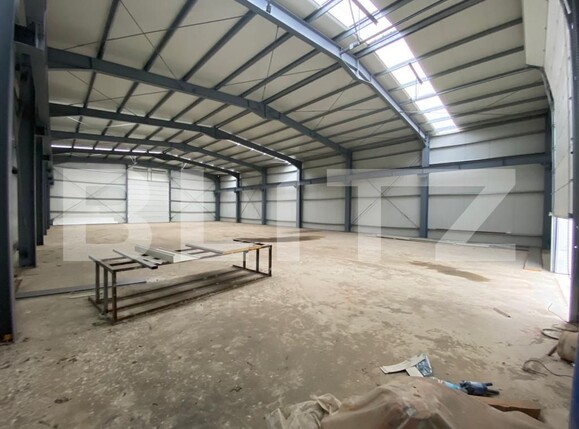 Spațiu industrial de vânzare Est - 96393SVI | BLITZ Craiova | Poza2