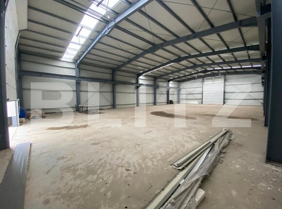 Spațiu industrial de vânzare Est - 96393SVI | BLITZ Craiova | Poza3