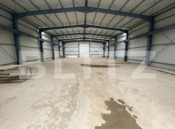 Spațiu industrial de vânzare Est - 96393SVI | BLITZ Craiova | Poza1