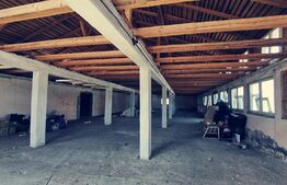 Spatiu industrial de 886 mp, 1695 mp teren, la DN6, zona Isalnita