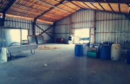 Spatiu industrial de 886 mp, 1695 mp teren, la DN6, zona Isalnita