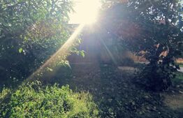 Casa P+E, 80 mp, 125 mp teren, zona Brestei