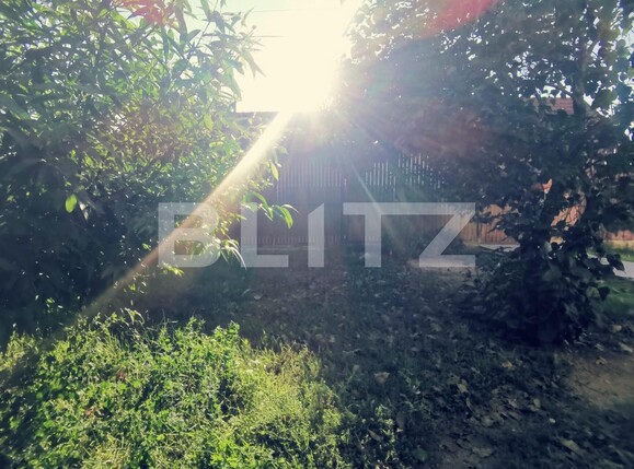 Casa de vânzare 3 camere Brestei - 96561CV | BLITZ Craiova | Poza15