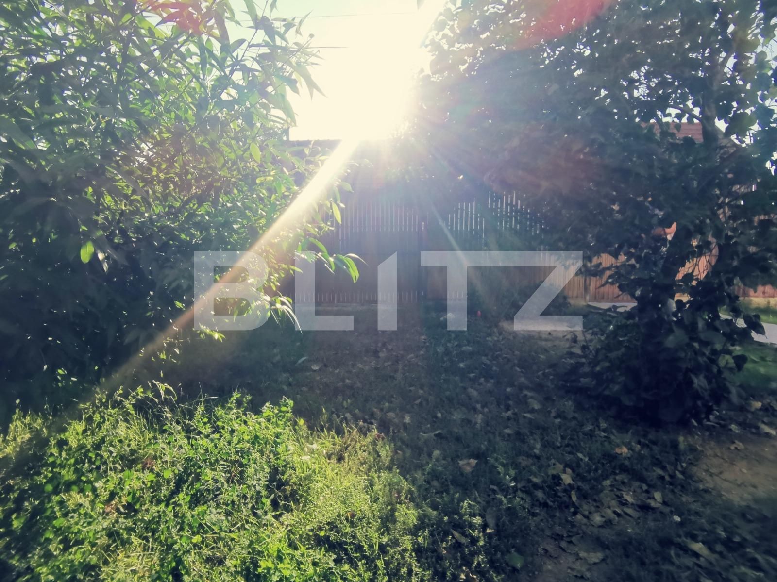 Casa de vânzare 3 camere Brestei - 96561CV | BLITZ Craiova | Poza15