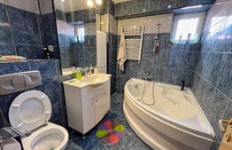 Apartament 3 camere, 97 mp, centrala, petfriendly, Calea Bucuresti