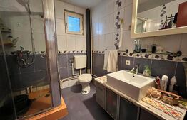 Casă 134 mp utili, cu apartament, 68 mp, teren 415 mp, Catargiu