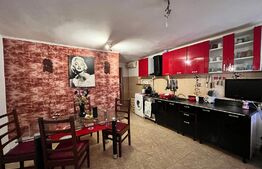 Casă 134 mp utili, cu apartament, 68 mp, teren 415 mp, Catargiu