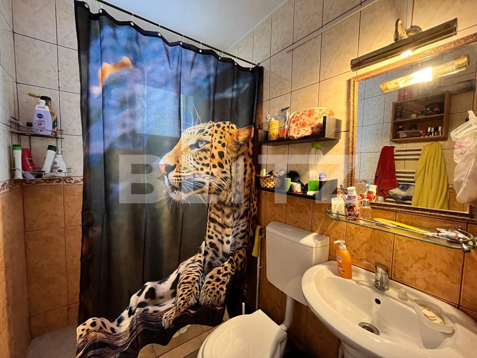 Casa de vânzare 6 camere Lascar Catargiu - 96709CV | BLITZ Craiova | Poza16