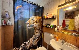 Casă de 68 mp utili, teren 70 mp, cu terasă 15 mp, Catargiu