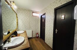 Casă individuală, 355 mp utili, teren 354 mp, Ultracentrală