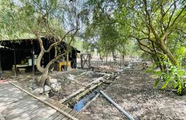 Casa individuala, 182 mp, teren de 3242 mp, zona Cotofenii din Fata