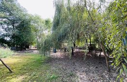 Casa individuala, 182 mp, teren de 3242 mp, zona Cotofenii din Fata