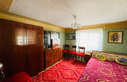 Casa individuala, 182 mp, teren de 3242 mp, zona Cotofenii din Fata