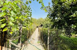 Casa individuala, 182 mp, teren de 3242 mp, zona Cotofenii din Fata