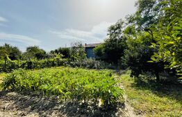 Casa individuala, 182 mp, teren de 3242 mp, zona Cotofenii din Fata