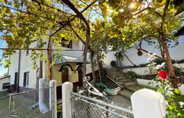 Casa individuala, 182 mp, teren de 3242 mp, zona Cotofenii din Fata