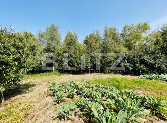 Casa de vânzare 6 camere Vest - 97043CV | BLITZ Craiova | Poza7