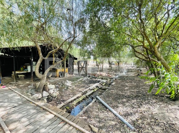 Casa de vânzare 6 camere Vest - 97043CV | BLITZ Craiova | Poza9