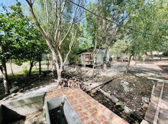 Casa de vânzare 6 camere Vest - 97043CV | BLITZ Craiova | Poza8