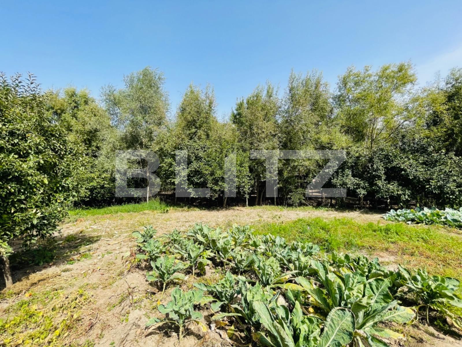 Casa de vânzare 6 camere Vest - 97043CV | BLITZ Craiova | Poza7