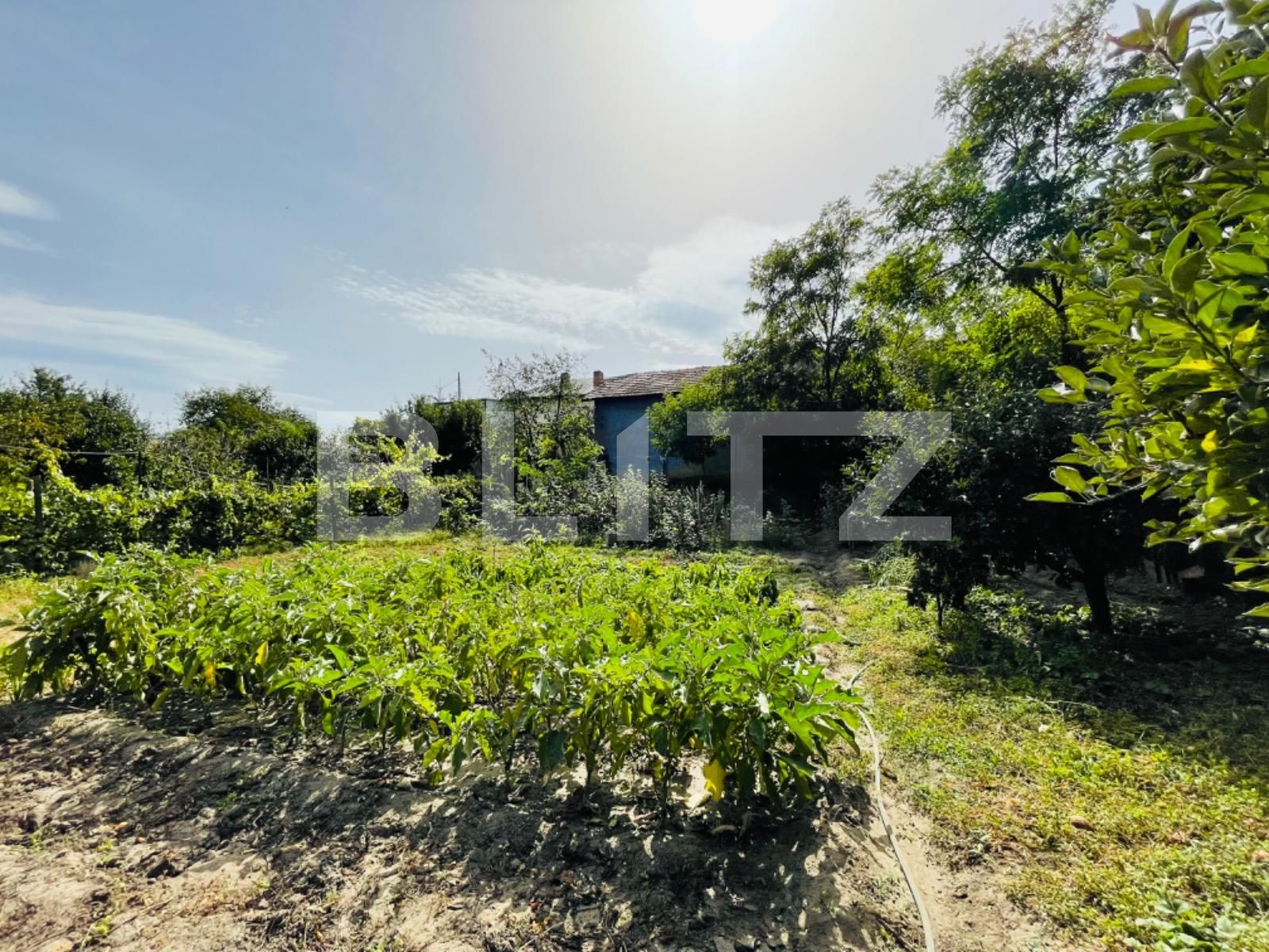 Casa de vânzare 6 camere Vest - 97043CV | BLITZ Craiova | Poza5