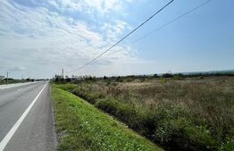 REDUCERE! Teren Intravilan 2.412 mp, la DE 79, Brădești