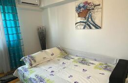 Garsoniera spatioasa, 40 mp, mobilata modern, zona Centrala