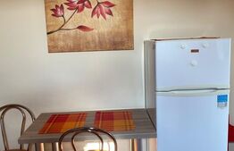 Garsoniera spatioasa, 40 mp, mobilata modern, zona Centrala