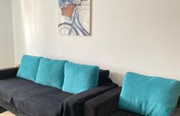 Garsoniera spatioasa, 40 mp, mobilata modern, zona Centrala