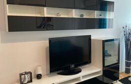 Garsoniera spatioasa, 40 mp, mobilata modern, zona Centrala